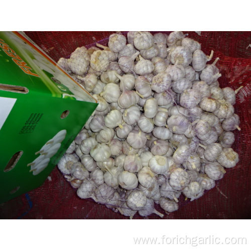 New Crop Normal White Garlic Export Standard